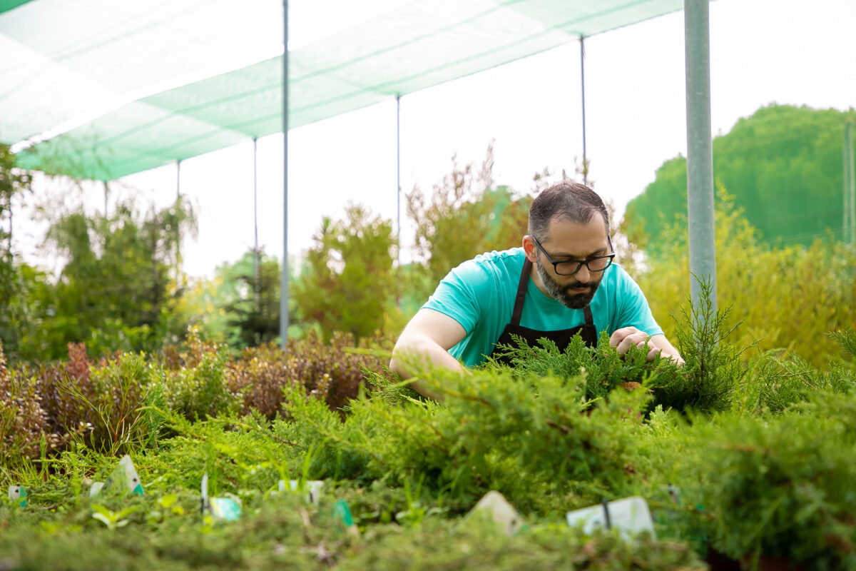 Horticulture Services in bangalore