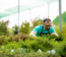 Horticulture Services in bangalore