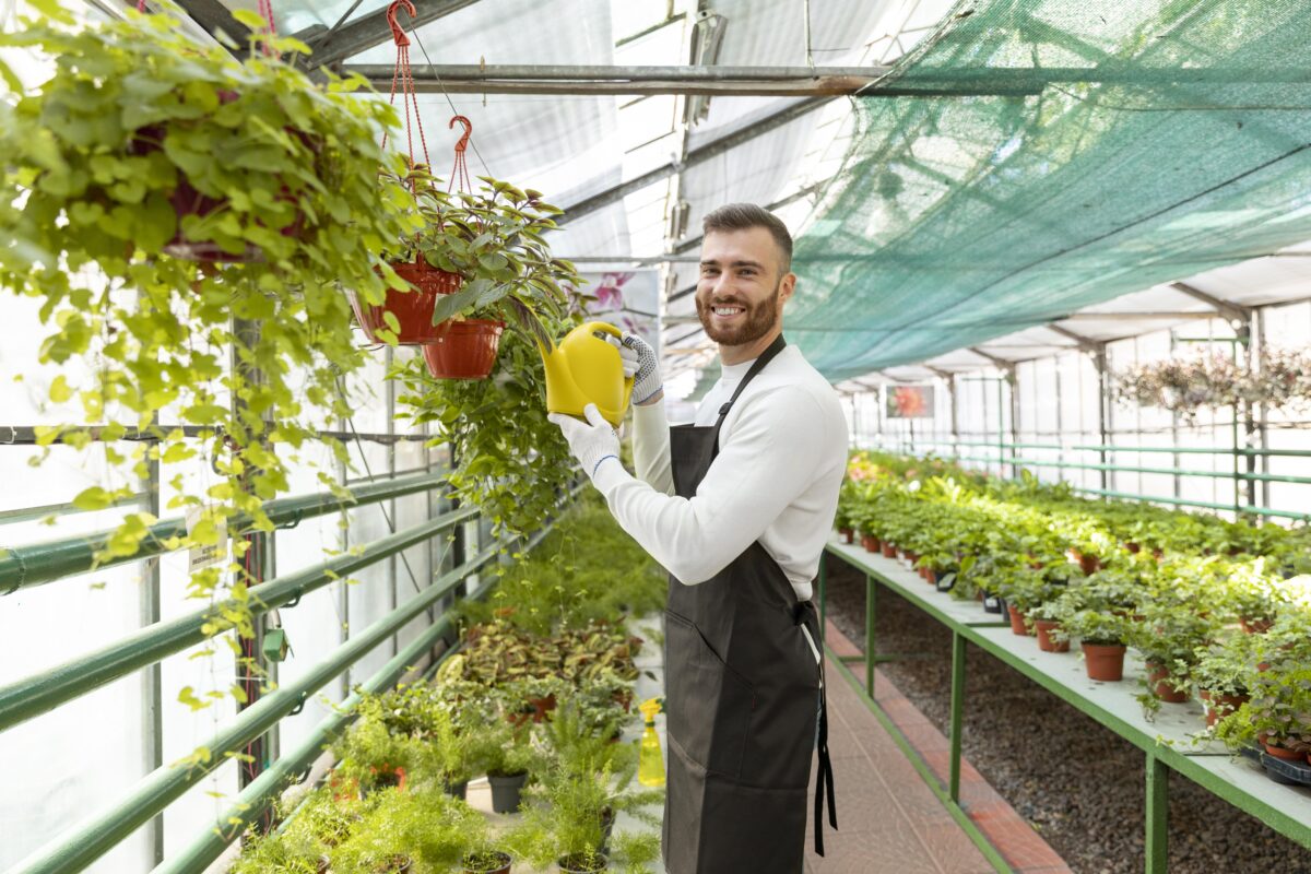 Horticulture Services in Bangalore