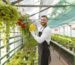 Horticulture Services in Bangalore