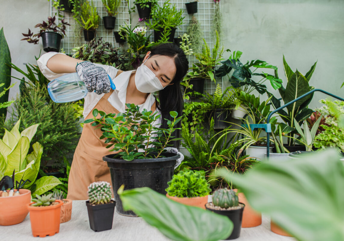 Plant Care Services in Bangalore